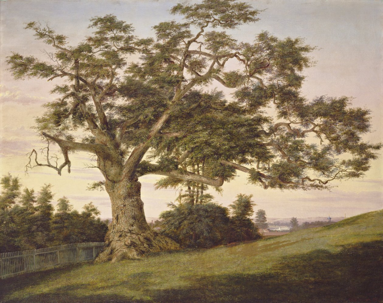 Die Charter Oak von Charles de Wolf Brownell