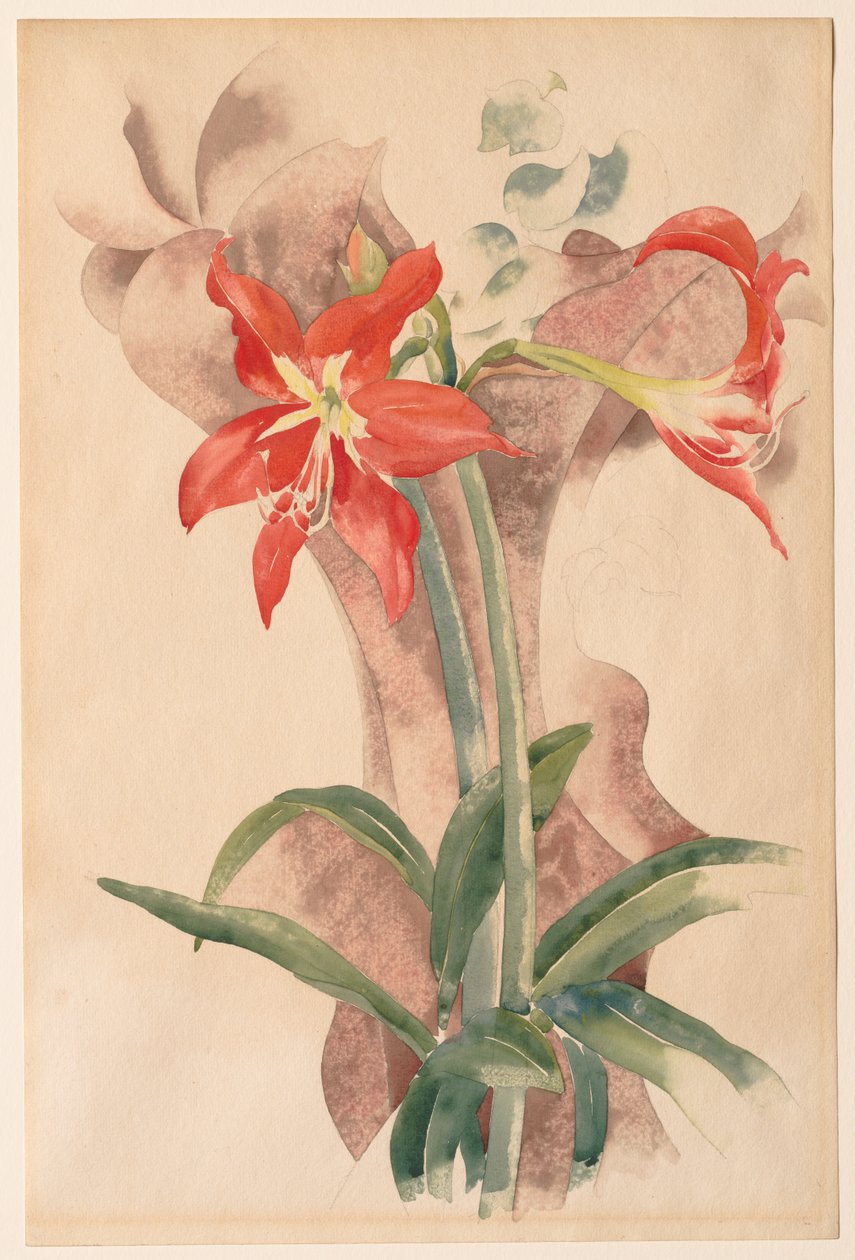 Amaryllis von Charles Demuth