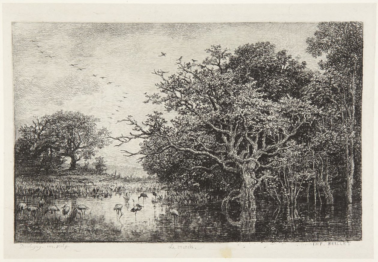 Der Storchensumpf von Charles Francois Daubigny