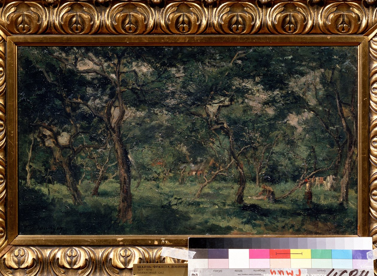 Der Olivenhain von Charles Francois Daubigny