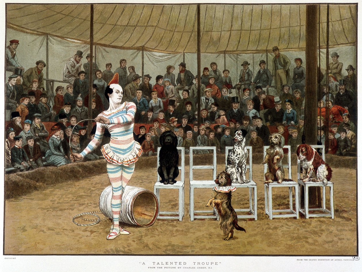 Die gelehrten Hunde: Zirkusszene mit Clown und Hunden - nach Charles Green, englisches Chromo 1885 von Charles Green