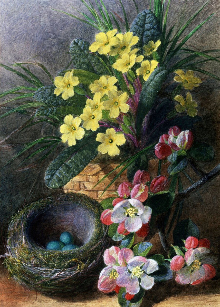 Apfelblüten und Primeln von Charles H. Slater