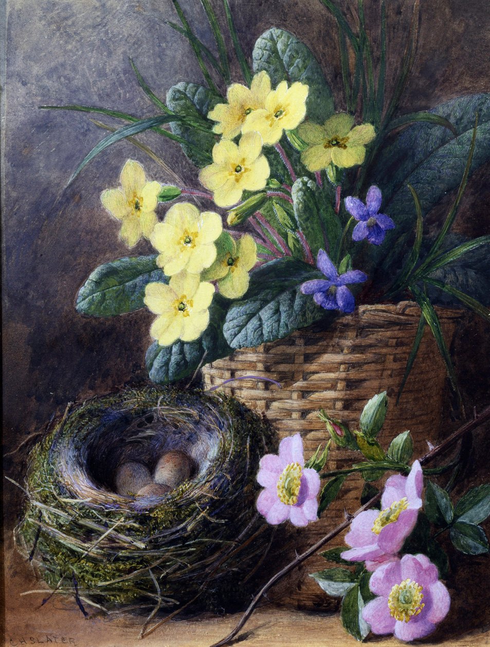 Stillleben mit Primeln, Veilchen und Rosen. Gemälde von Charles Henry Slater von Charles H. Slater