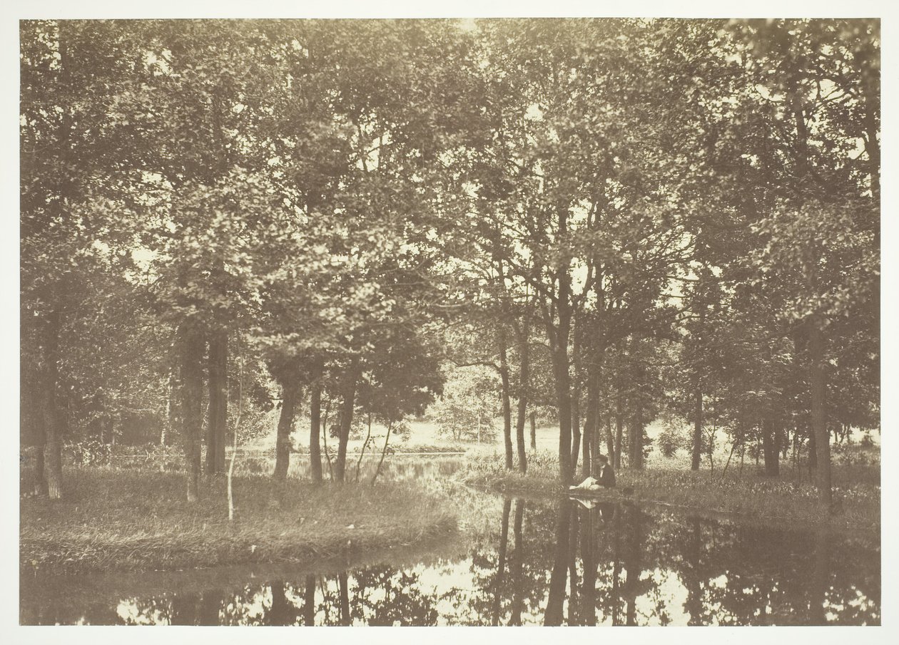 Ohne Titel, ca. 1850. [Bäume nahe Wasser im Bois de Boulogne, einem Park in Paris] von Charles Marville