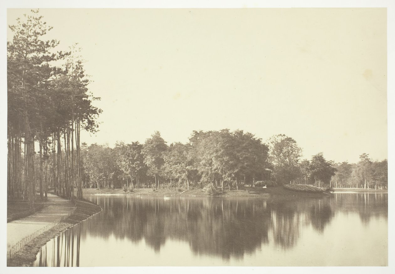 Ohne Titel, ca. 1850. [Bäume in der Nähe von Wasser im Bois de Boulogne, einem Park in Paris] von Charles Marville