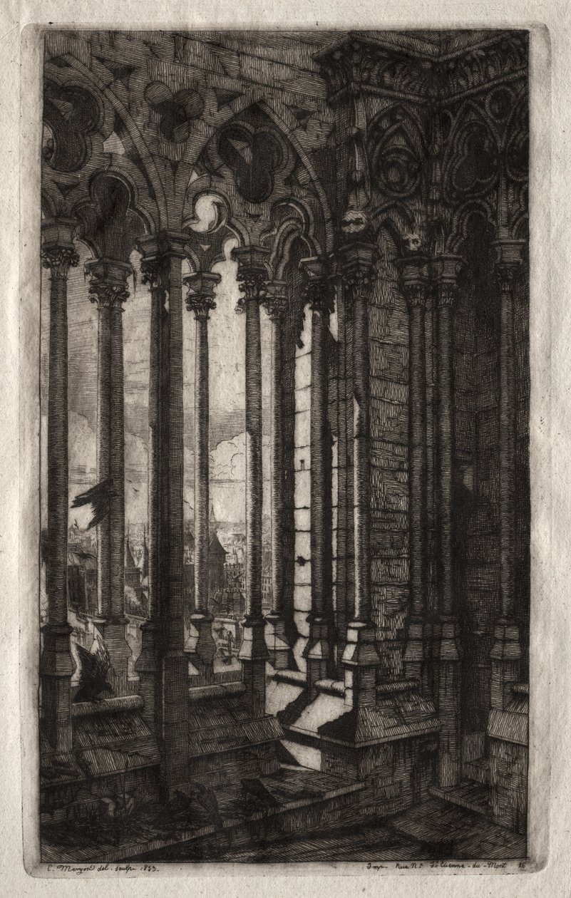 Radierungen von Paris: Die Galerie von Notre Dame von Charles Meryon
