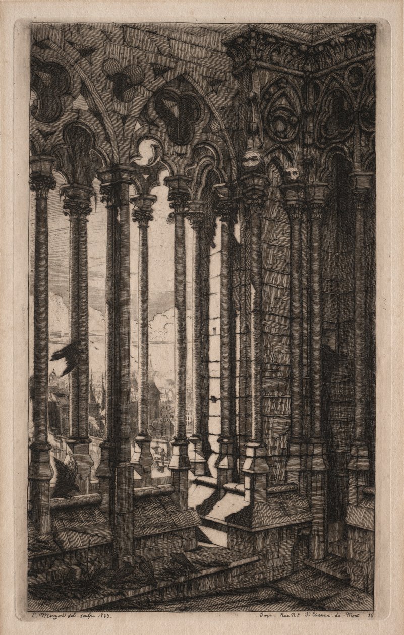 Radierungen von Paris: Die Galerie von Notre Dame, 1853 von Charles Meryon