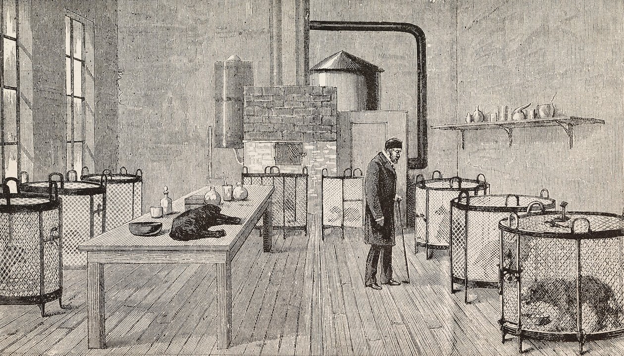 Hunde in Käfigen im Labor von Louis Pasteur (1822-1895), französischer Chemiker und Biologe, Paris, Frankreich, Gravur aus L