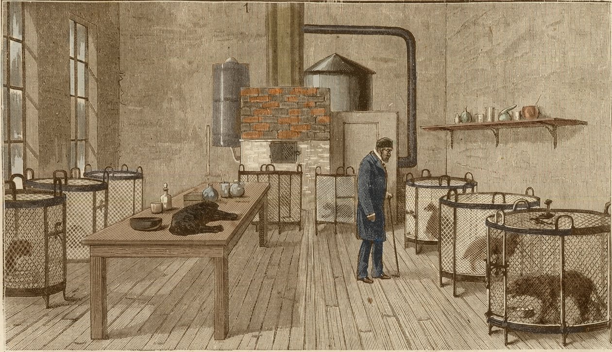 Hunde in Käfigen im Labor von Louis Pasteur von Charles Paul Renouard