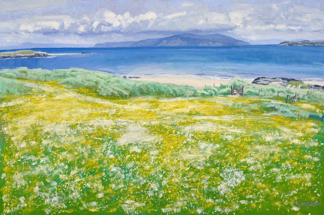 Machair, Nordende Iona, 2015 von Charles Simpson