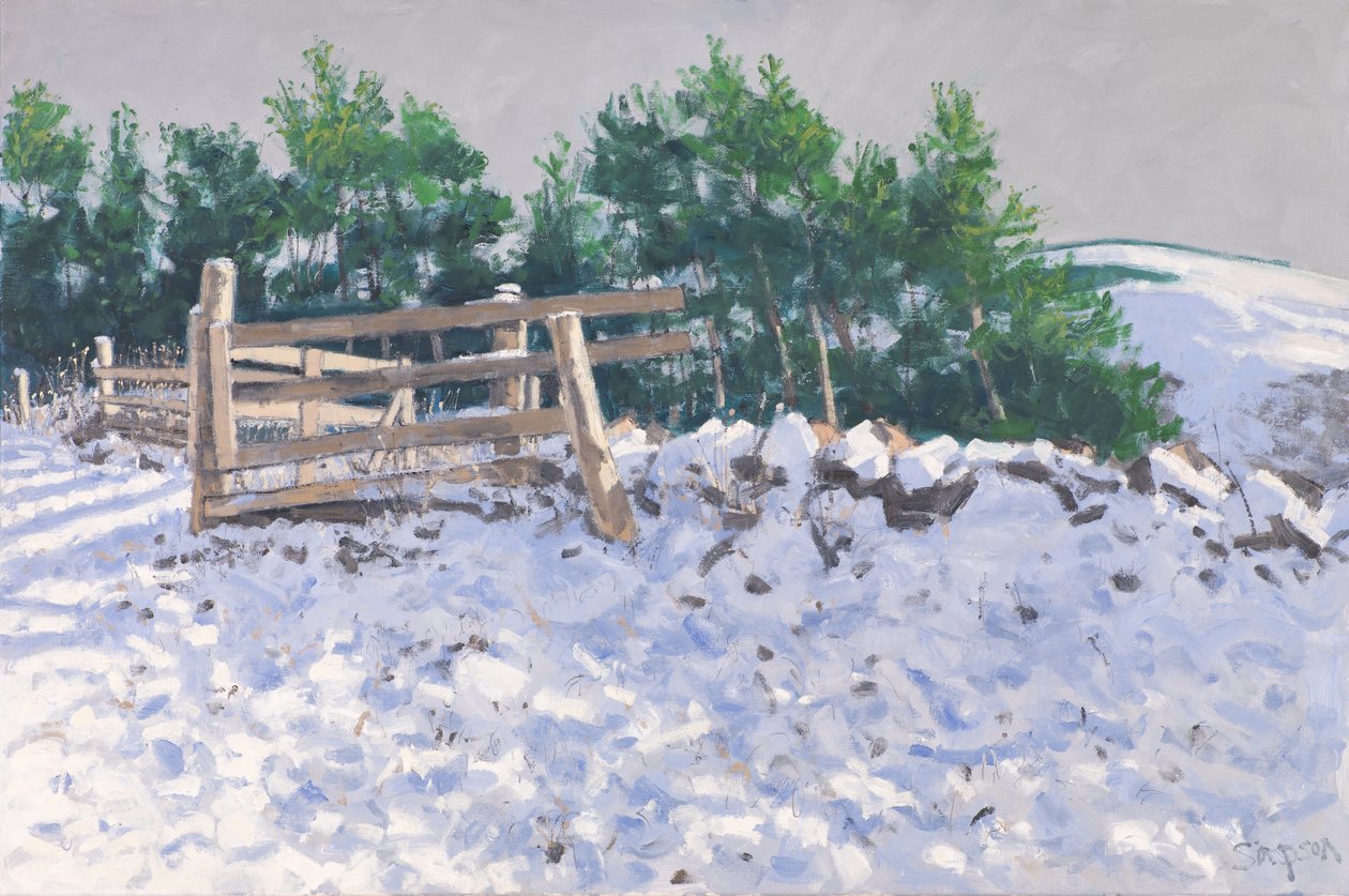 Kleiner Wald, Torwoodlee, 2017 von Charles Simpson