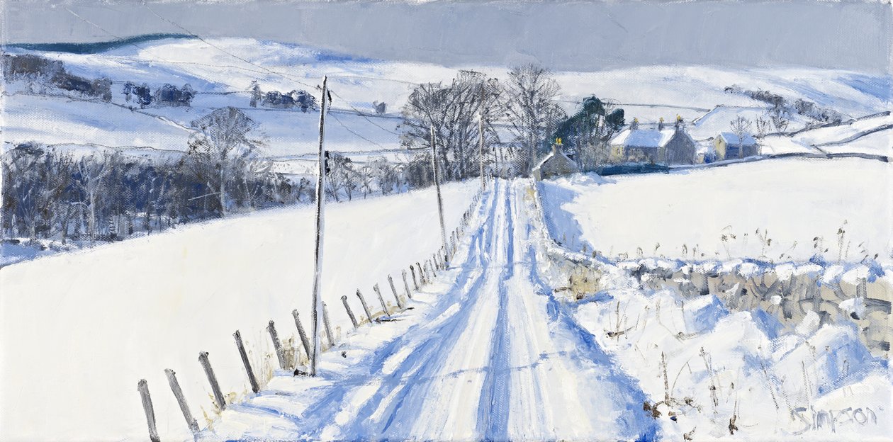 Schnee, Newhall, 2010 von Charles Simpson