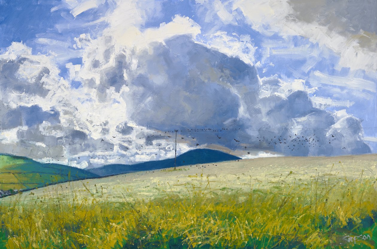 Stoppelfeld: Saatkrähen & Krähen, 2015 von Charles Simpson