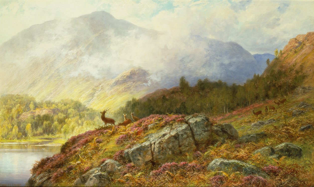 Hirsche in einer Hochlandlandschaft von Charles Stuart