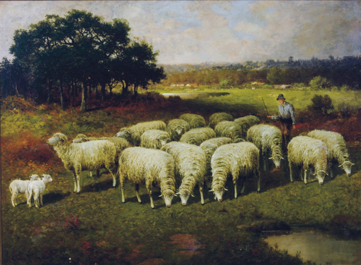 Ein Schäfer mit seinen Schafen auf dem Feld, 1898 von Charles T. Phelan