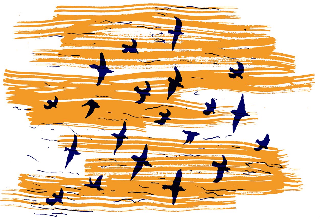 Vögel im Flug, 2020 von Charlotte Orr
