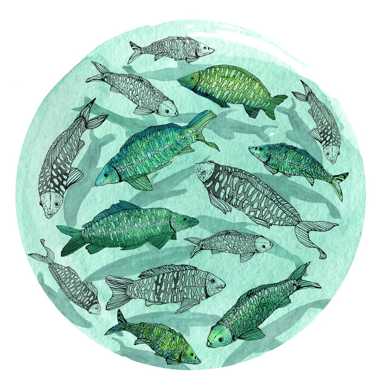 Kleiner Fisch großer Teich, 2018 von Charlotte Orr