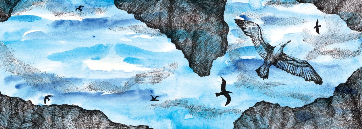 Die Geschichte der Möwe, 2020 von Charlotte Orr