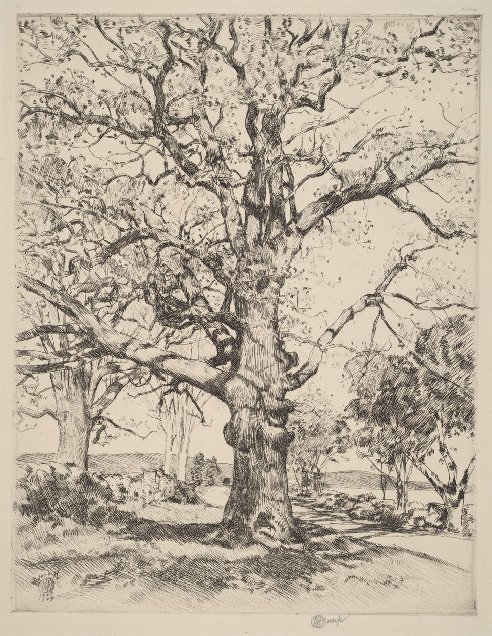 Gasthaus am Wegesrand—Eichen im Frühling von Childe Hassam