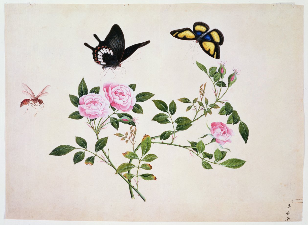 PD.273-1973 Rosen in Knospe und Blüte mit Schmetterlingen und Insekten von Chinese School