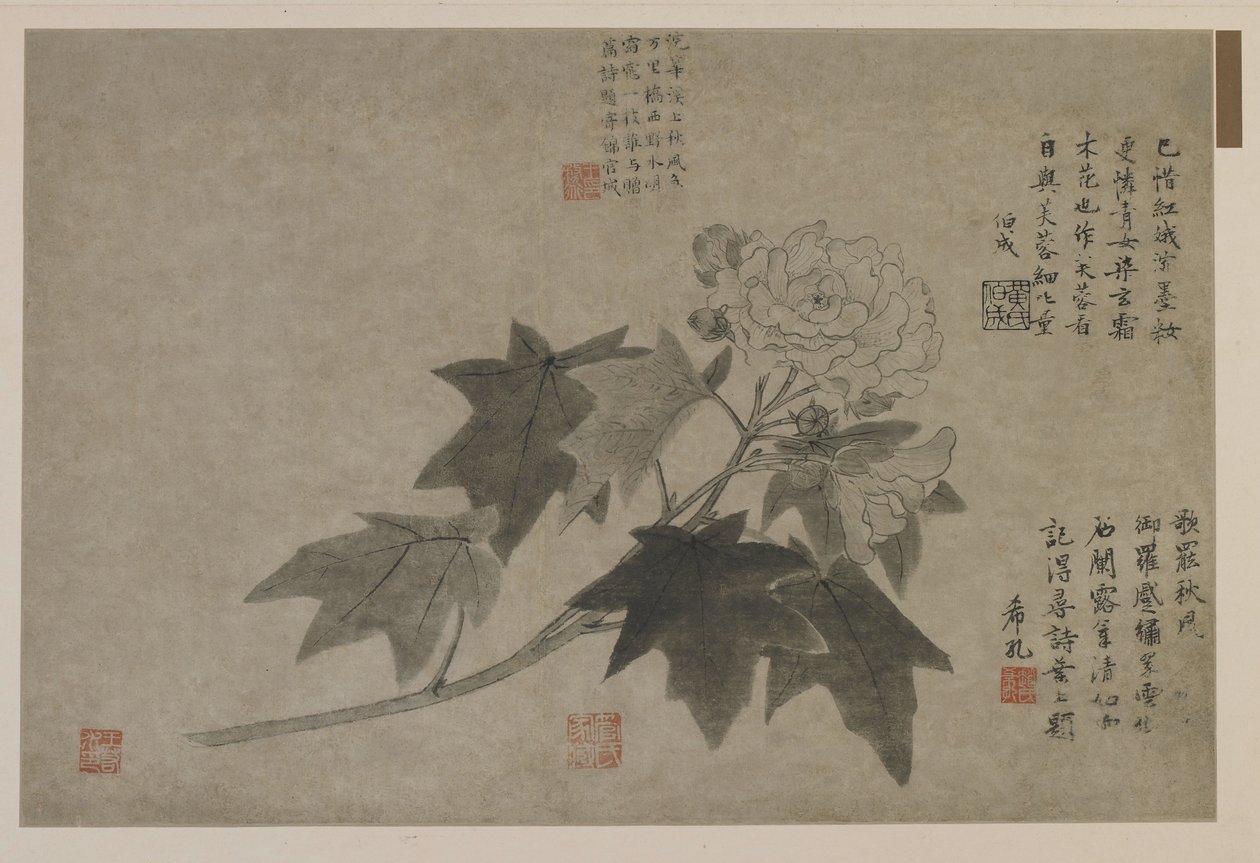 Ein Zweig Holzpfingstrose, möglicherweise Qing-Dynastie von Chinese School