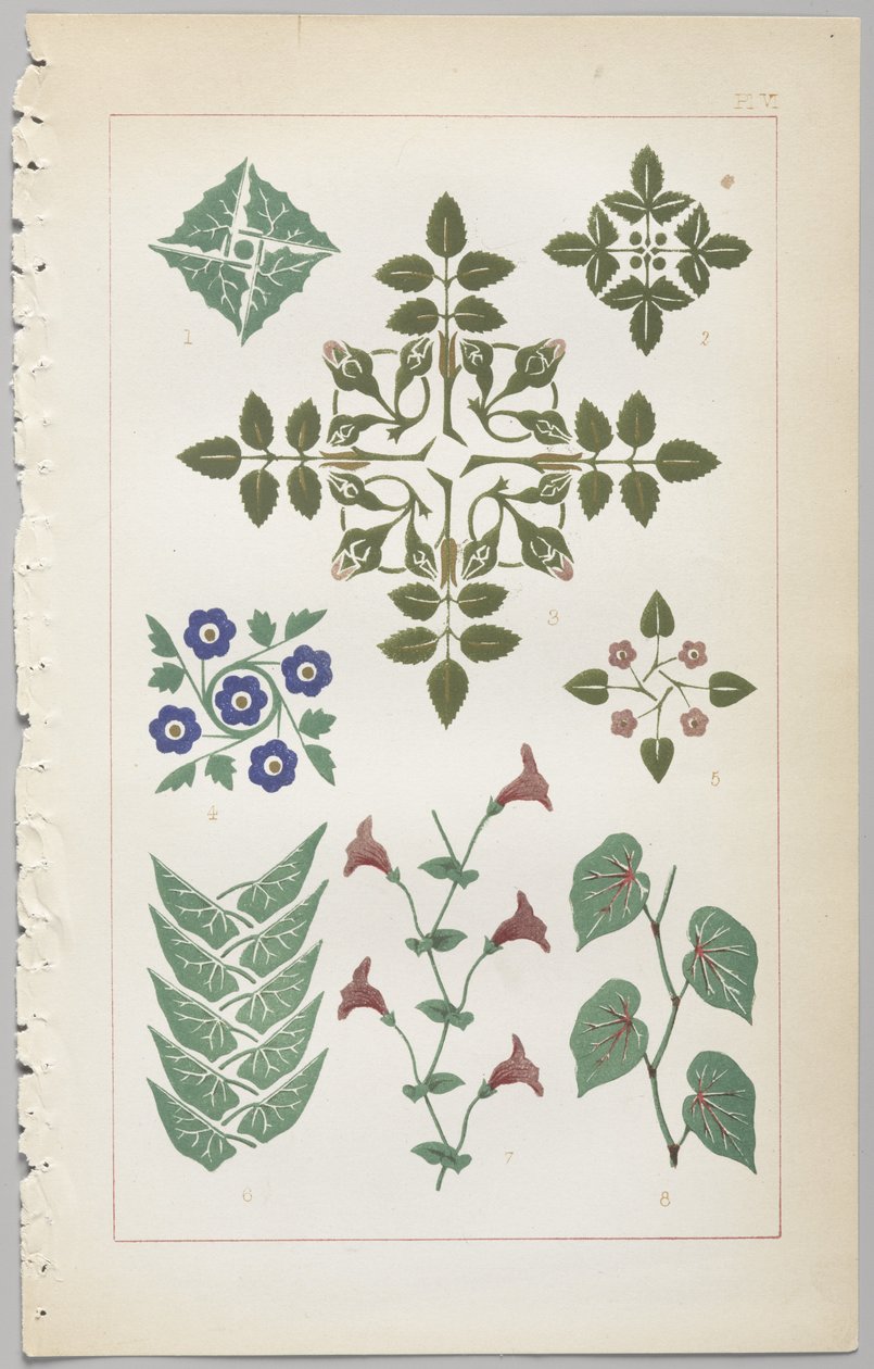 Die Kunst des dekorativen Designs: mit einem Anhang, der die Stunden des Tages angibt, zu denen Blumen öffnen, veröffentlicht von Day & Son, London, 1862 von Christopher Dresser