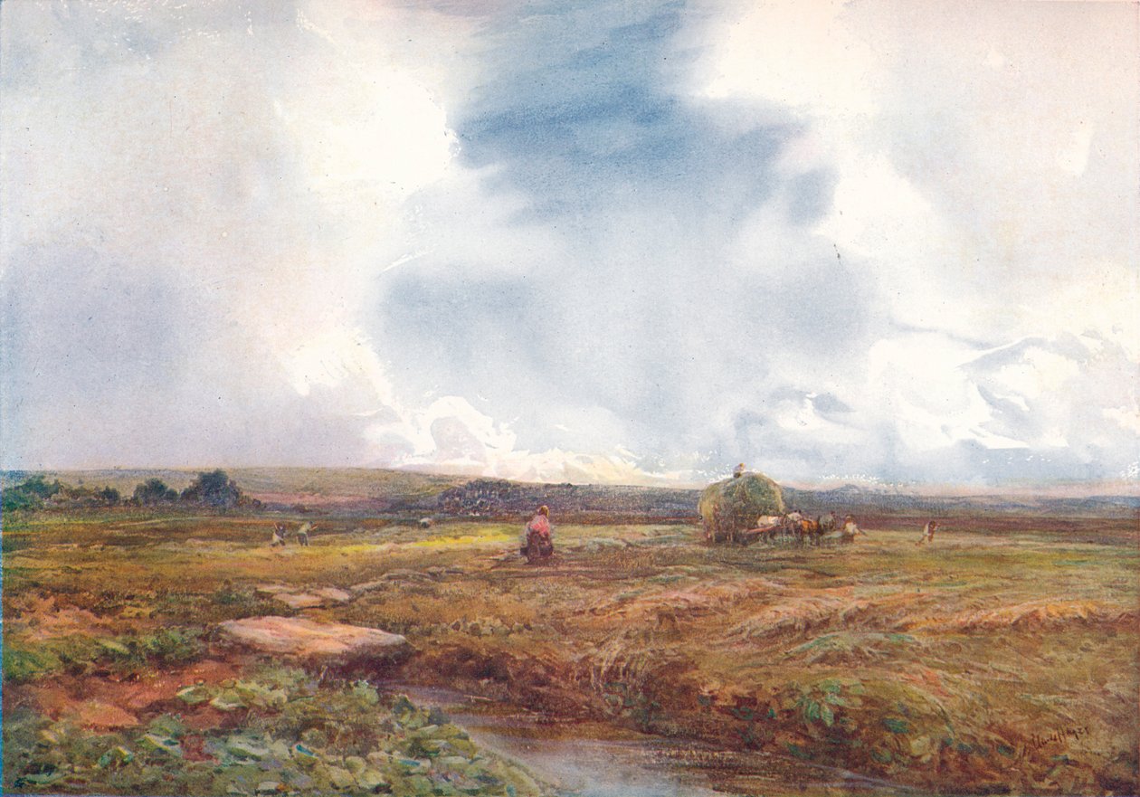 Das Heufeld, 1872-1906, 1906 von Claude Hayes