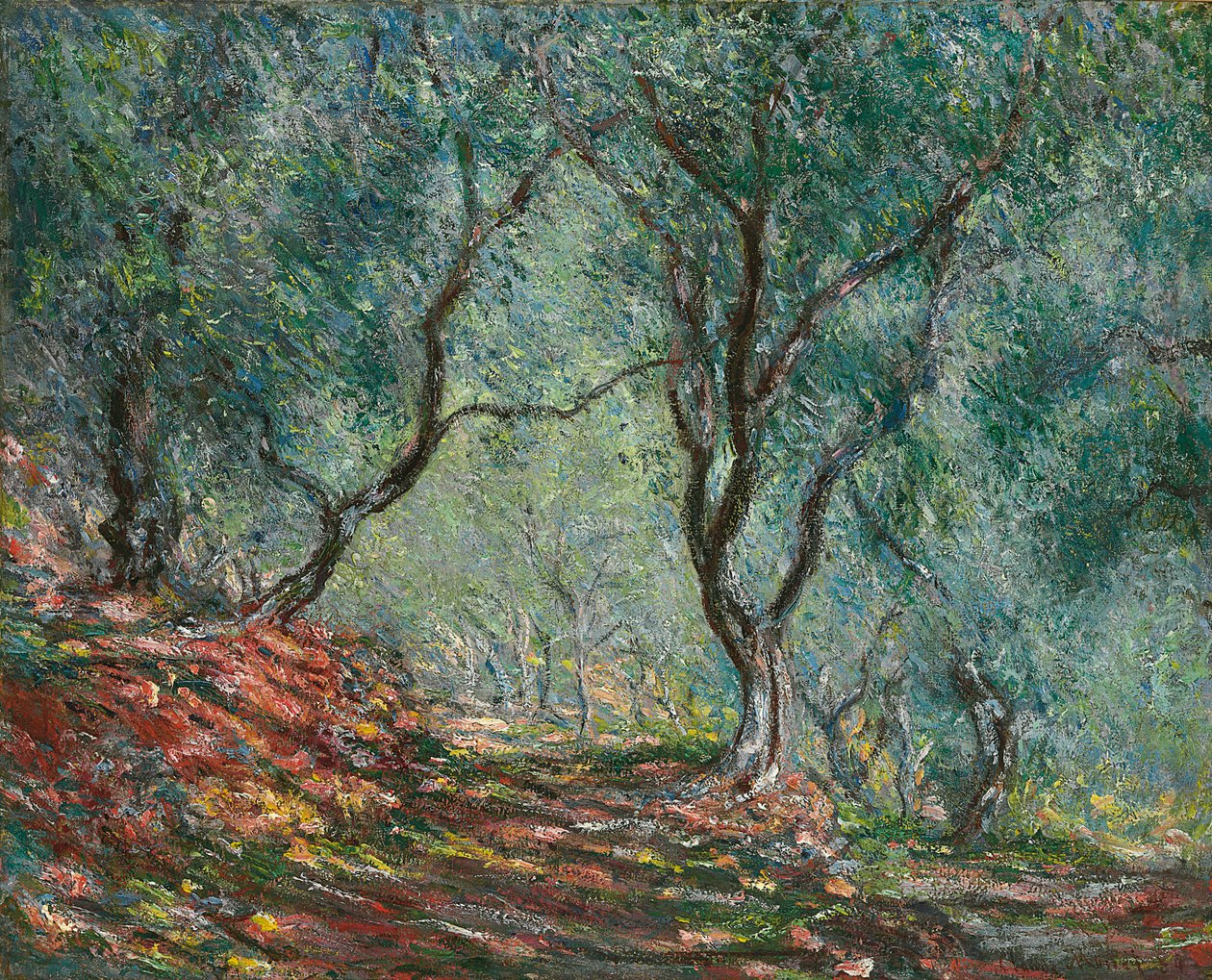 Olivenbäume im Moreno-Garten, 1884 von Claude Monet