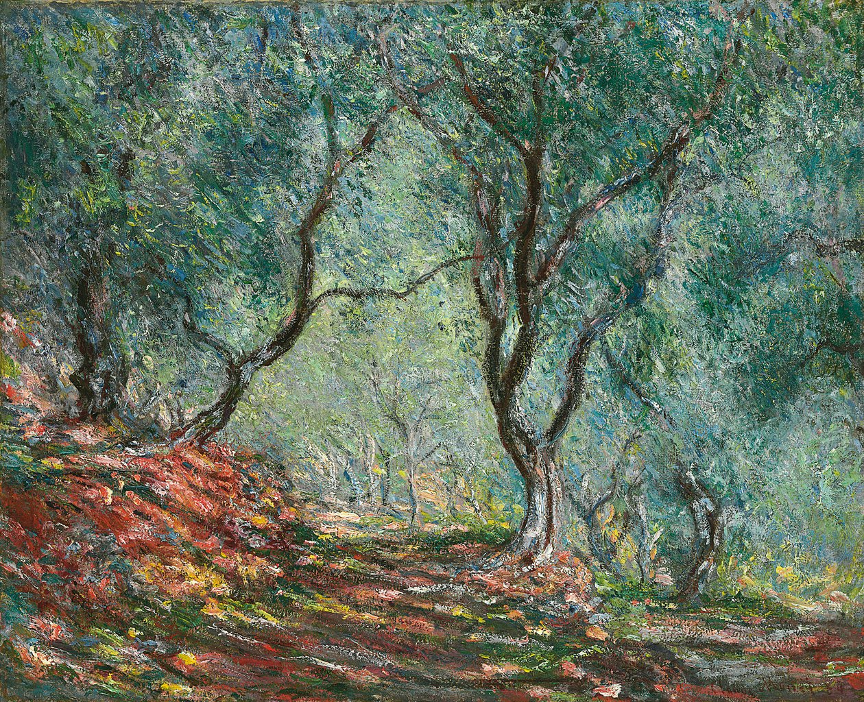 Olivenbäume im Moreno-Garten; Bois d