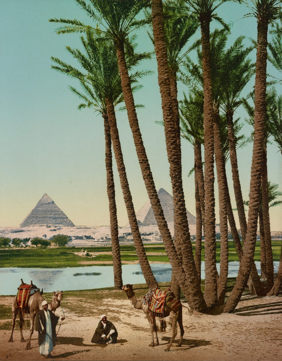 Palmen, Beduinen und Pyramiden, Kairo, Ägypten von Company Photoglob