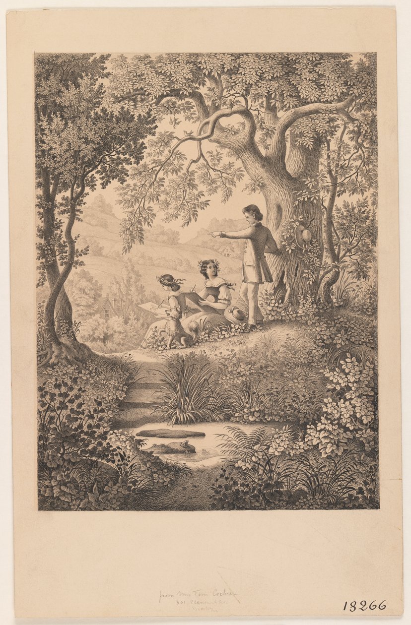 Eine Zeichenstunde von Constantine Hertzberg