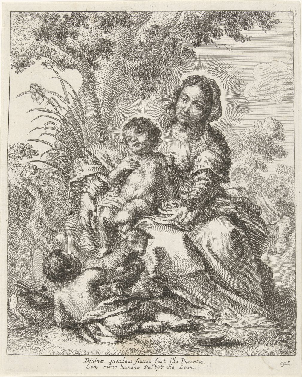 Heilige Familie mit Johannes dem Täufer als Kind von Cornelis Galle (II)