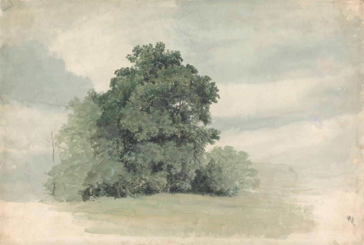 Studie von Bäumen am Feldrand von Cornelius Varley