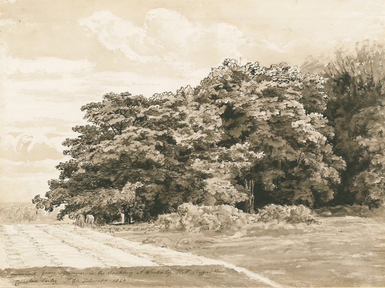 Wrottesley Hall - Der Strauchgarten von Cornelius Varley