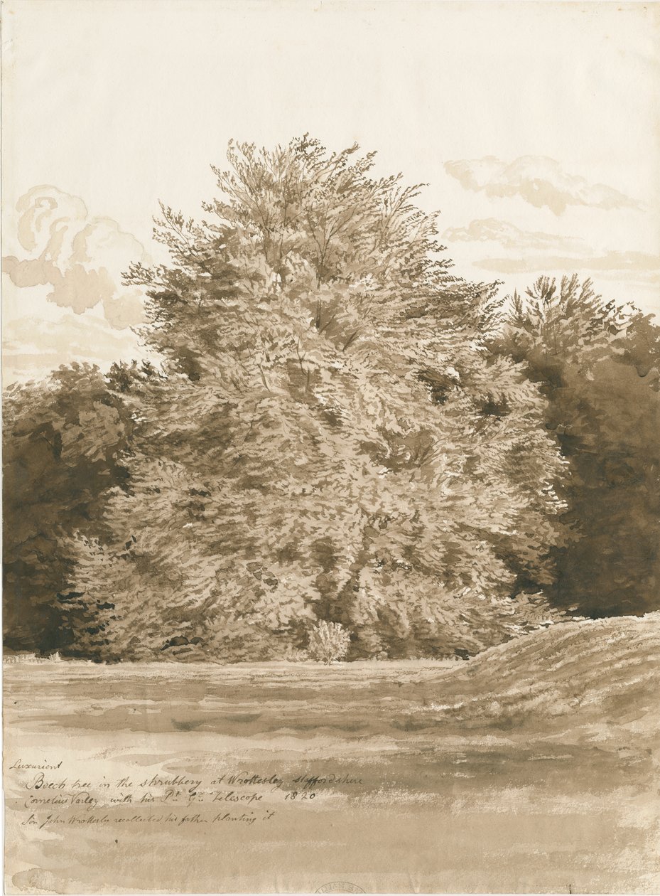 Wrottesley Hall - Der Strauchgarten von Cornelius Varley