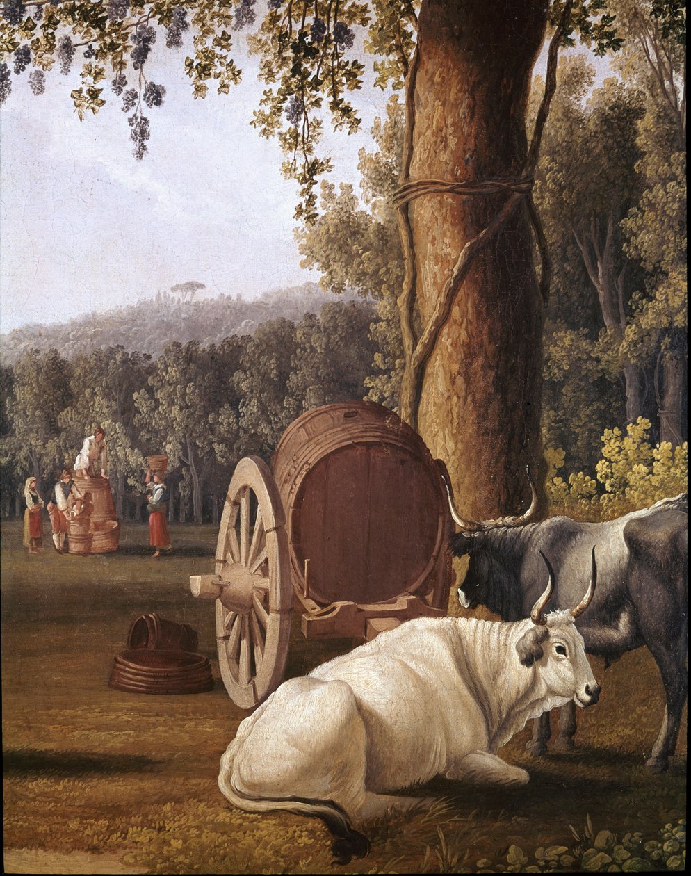 Ernte bei Neapel (Detail von Kühen) - Ernte bei Neapel, Gemälde von Cristoforo Kneip (18. Jahrhundert) Neapel, Museo Nazionale di San Martino von Cristoforo Kneip