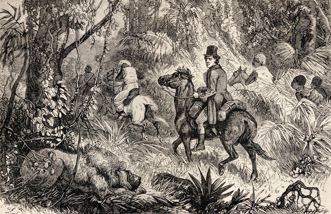 Mungo Park begegnet einem Löwen auf dem Weg zum Dorf Modiboo, 1825 von Dalziel Brothers