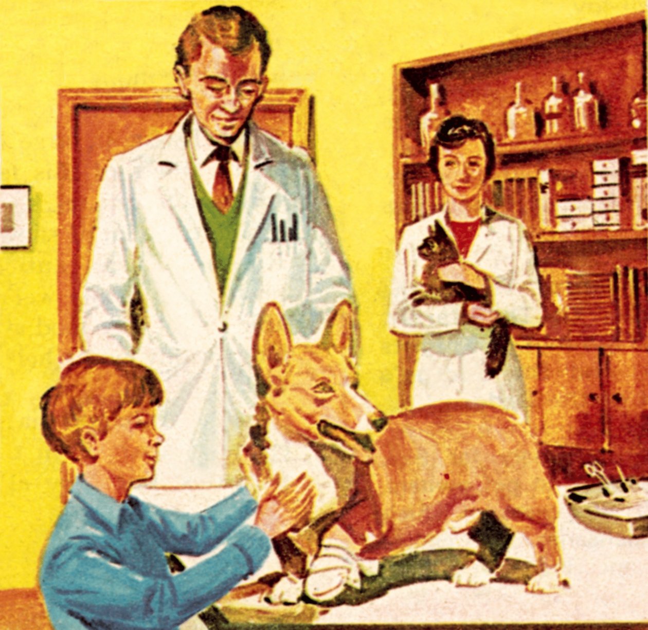Klinik der Volksapotheke für kranke Tiere von Dan Escott