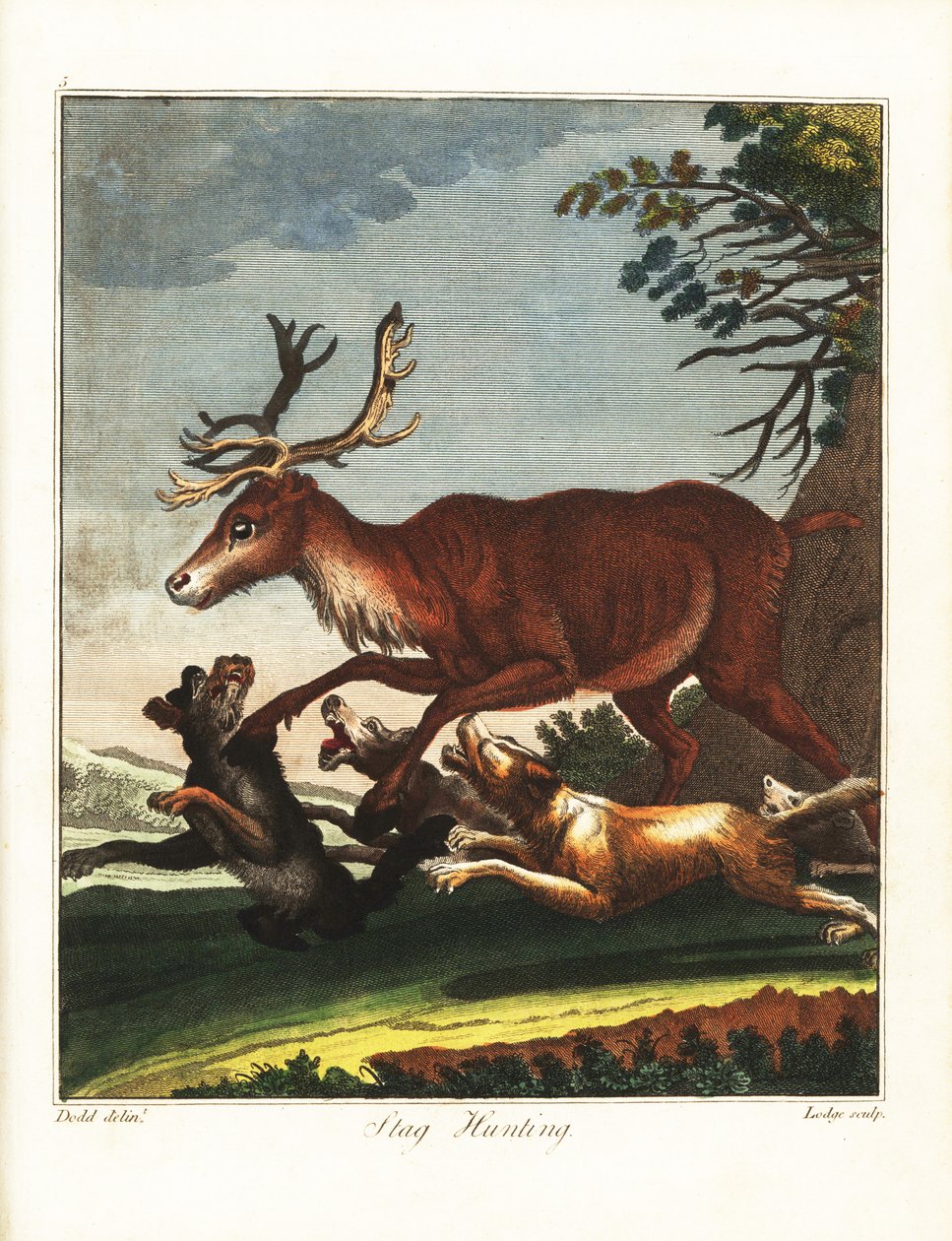 Hirschjagd von Daniel (after) Dodd
