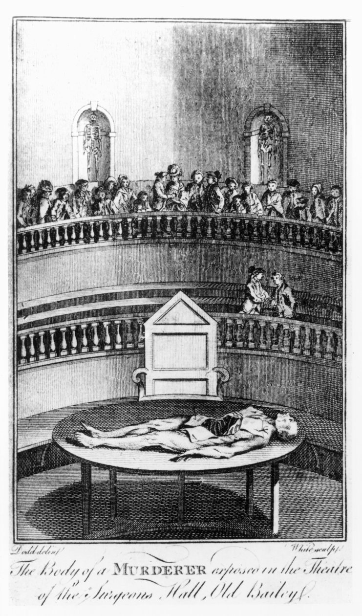 Der Körper eines Mörders im Theater der Surgeons