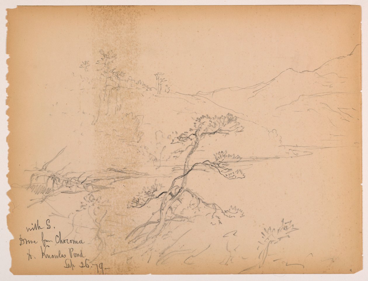 Fahrt von Chocorua zum Knowles-Teich von Daniel Huntington