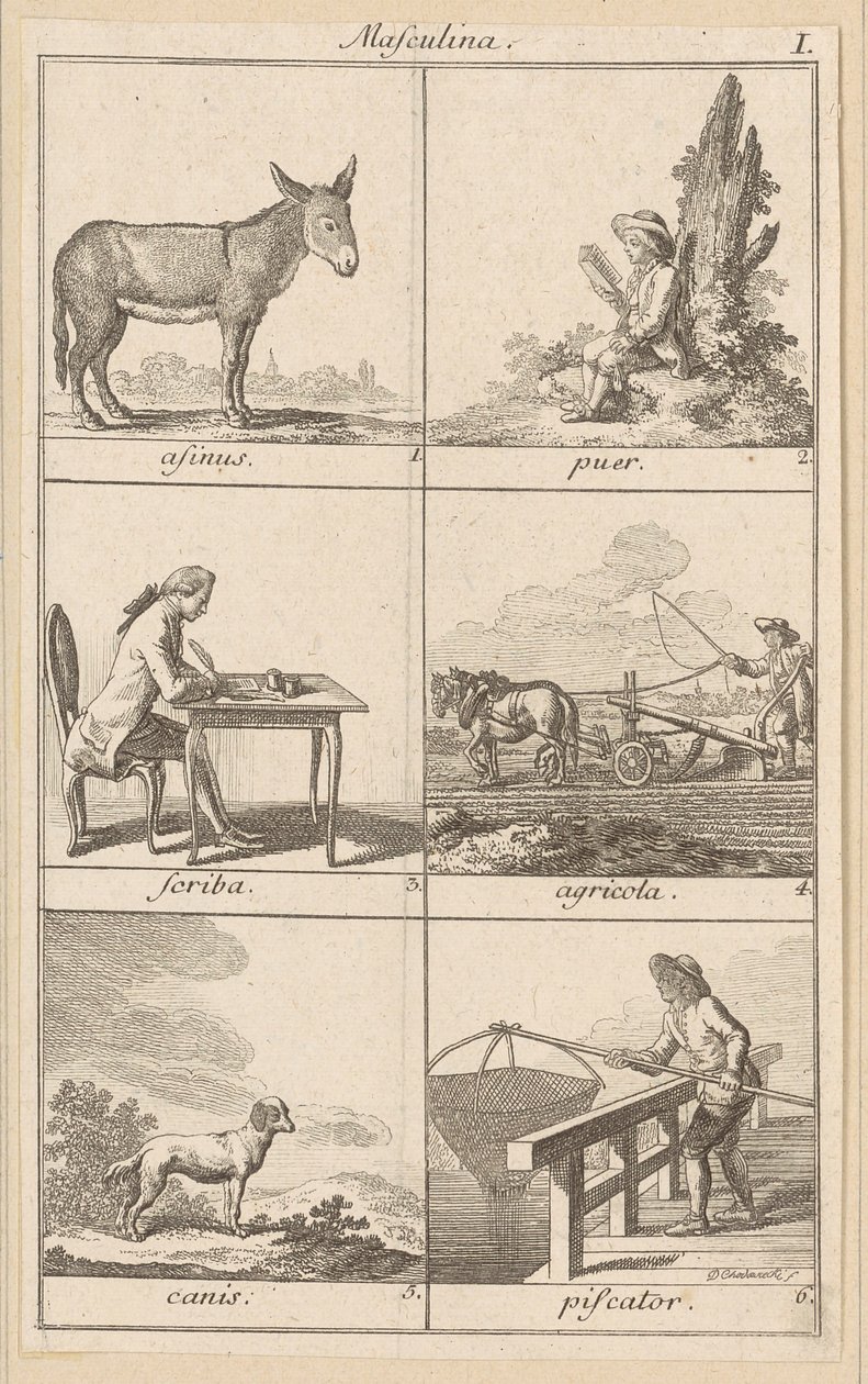 Masculina I von Daniel Nikolaus Chodowiecki