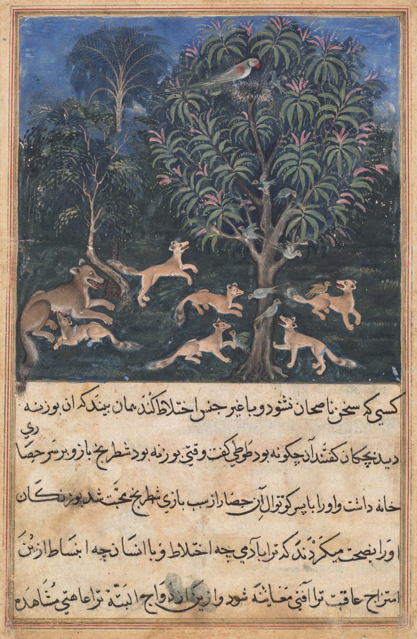 Seite aus Geschichten eines Papageis Tuti-nama: Fünfte Nacht: Die Papageienmutter warnt..., ca. 1560 von Daswanth