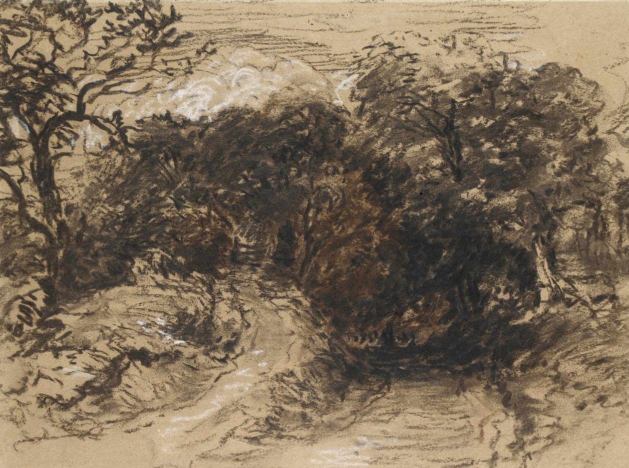 Ein hohler Weg in der Nähe von Harborne, Derbyshire (schwarze Kreide mit weißen Akzenten und etwas brauner Waschung) von David Cox