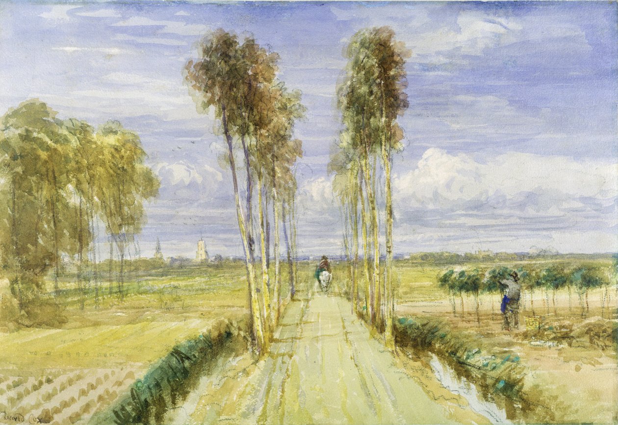 Die Pappelallee von David Cox
