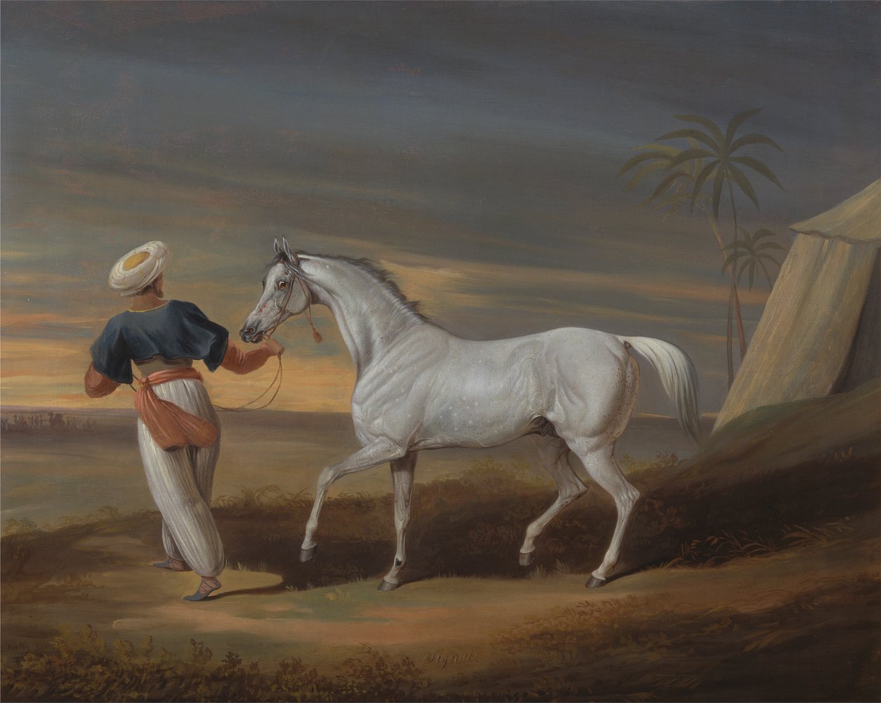 Signal, ein grauer Araber, mit einem Stallburschen in der Wüste von David Dalby of York