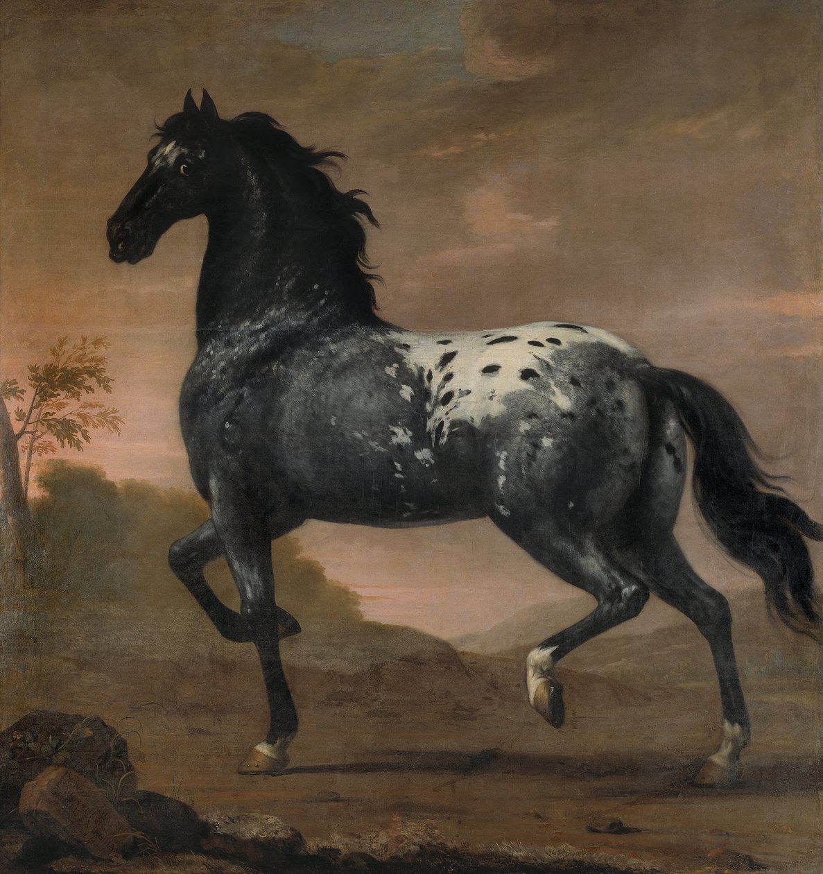 Pferd von Karl XI., Blå Tigern, 1673 von David Klöcker Ehrenstrahl