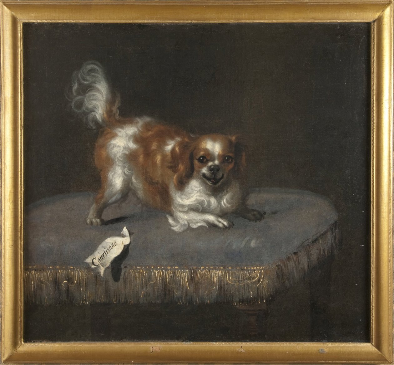 Hunden Kurtisane von David Klöcker Ehrenstrahl