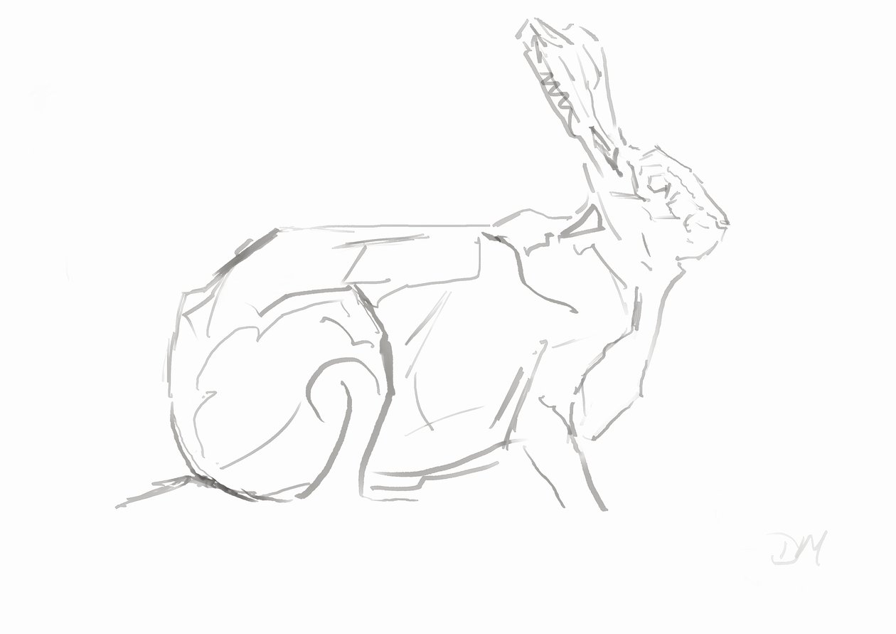 Hase von David Mayer