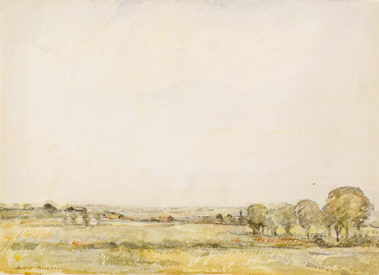 In Essex von David Muirhead
